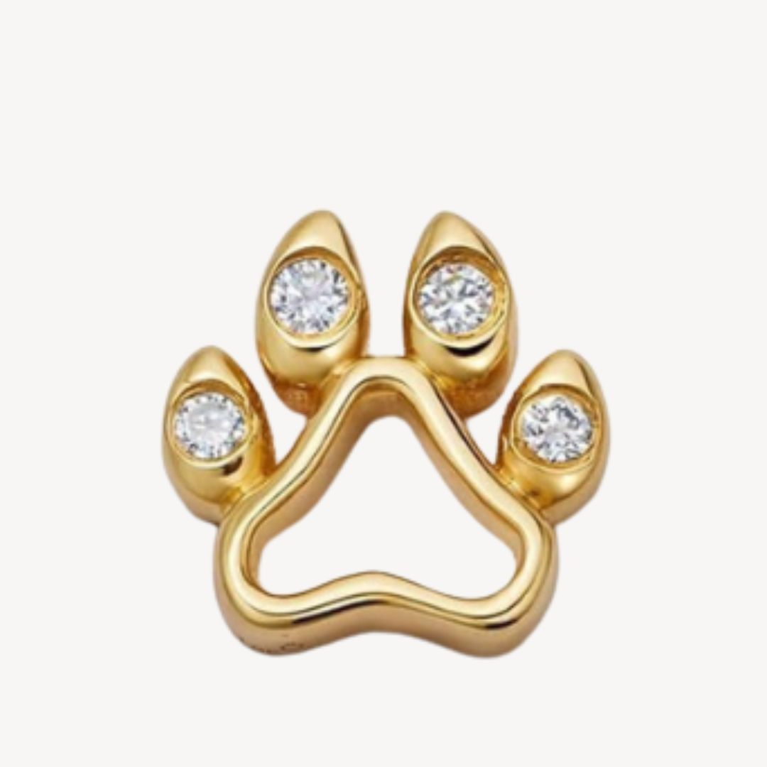 Pet Paw