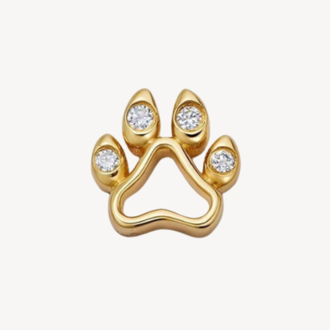 Pet Paw